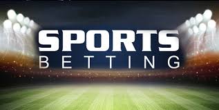 Discover the Thrills of 24betting Cricket A Betting Enthusiast's Guide