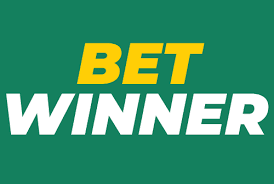 Comprehensive Review of the Bookmaker Betwinner 11