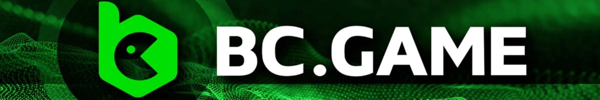Understanding the BCGame Privacy Policy 1